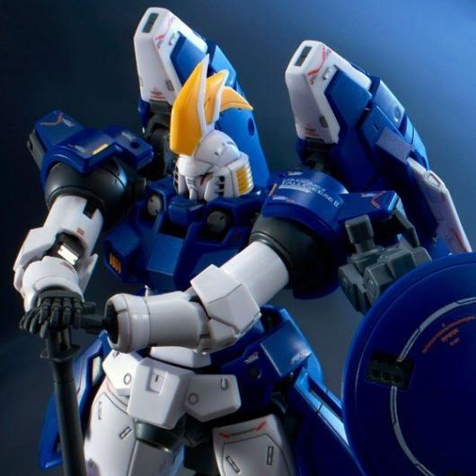 RG トールギスII