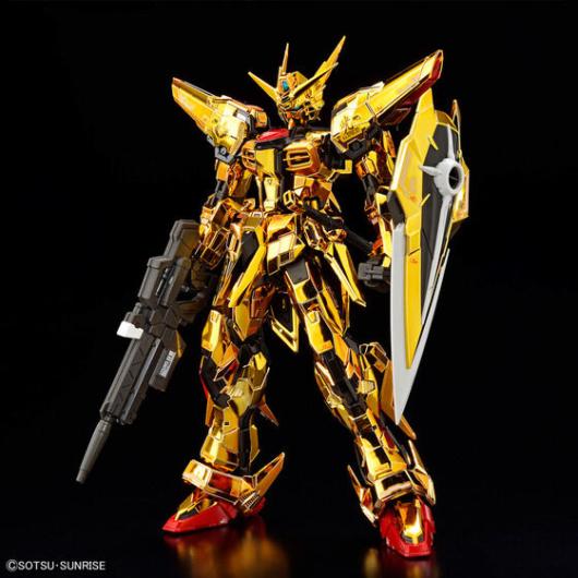 RG アカツキガンダム(オオワシ装備